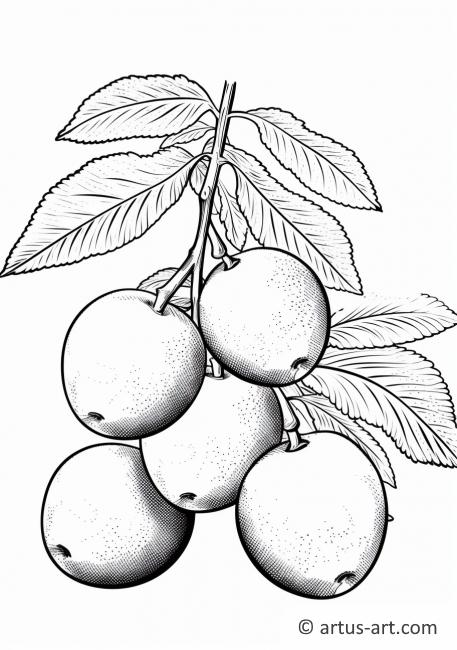 Pflaumen-Früchte Ausmalbild
